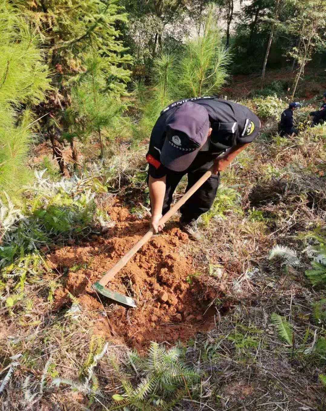 干好每一天|青山掛白我復(fù)綠,無私奉獻(xiàn)金森人——資源保護(hù)部義務(wù)突擊隊(duì)工作記實(shí) 干好每一天|青山掛白我復(fù)綠,無私奉獻(xiàn)金森人——資源保護(hù)部義務(wù)突擊隊(duì)工作記實(shí)