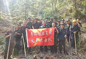 干好每一天|青山掛白我復(fù)綠，無私奉獻金森人——資源保護部義務(wù)突擊隊工作記實