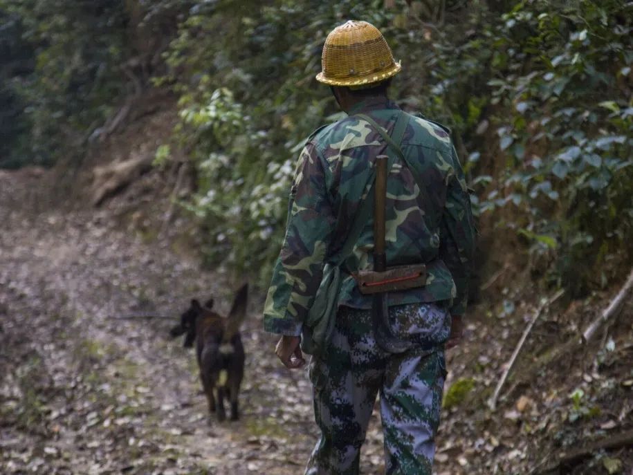 【金森榜樣】護(hù)林員邱玉祥的一天:想一輩子與青山相伴 【金森榜樣】護(hù)林員邱玉祥的一天:想一輩子與青山相伴