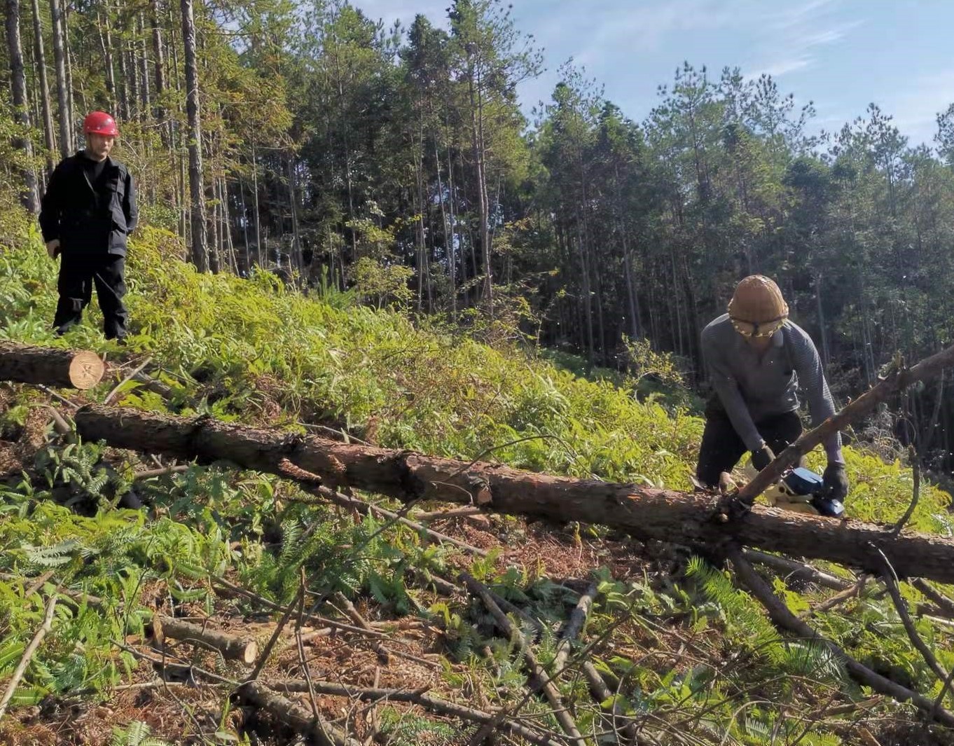 筑牢安全防線,守護(hù)一方平安 ——將溪分公司安全生產(chǎn)工作紀(jì)實 筑牢安全防線,守護(hù)一方平安 ——將溪分公司安全生產(chǎn)工作紀(jì)實