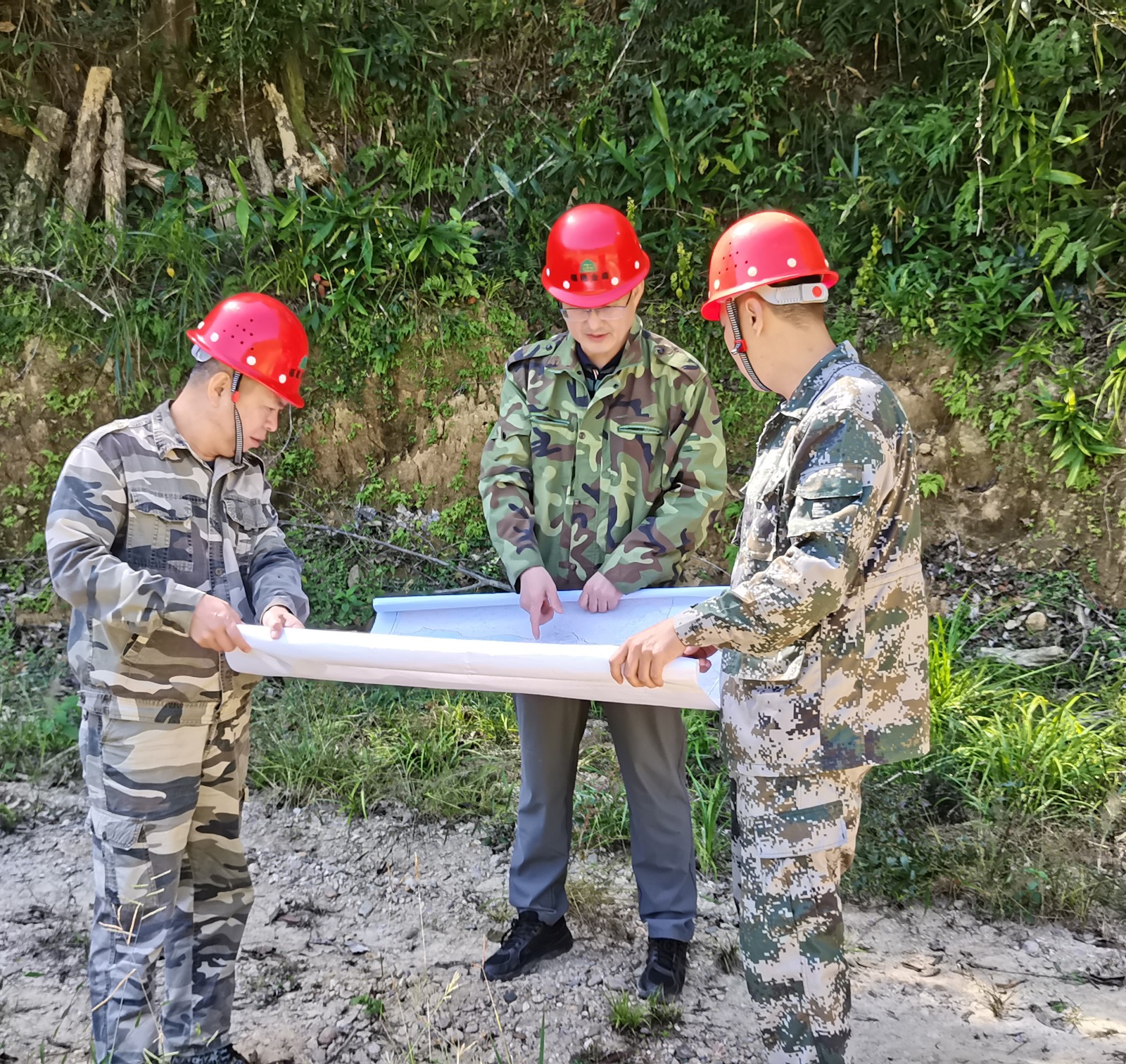 1665981147193932.jpg 1665981147193932.jpg